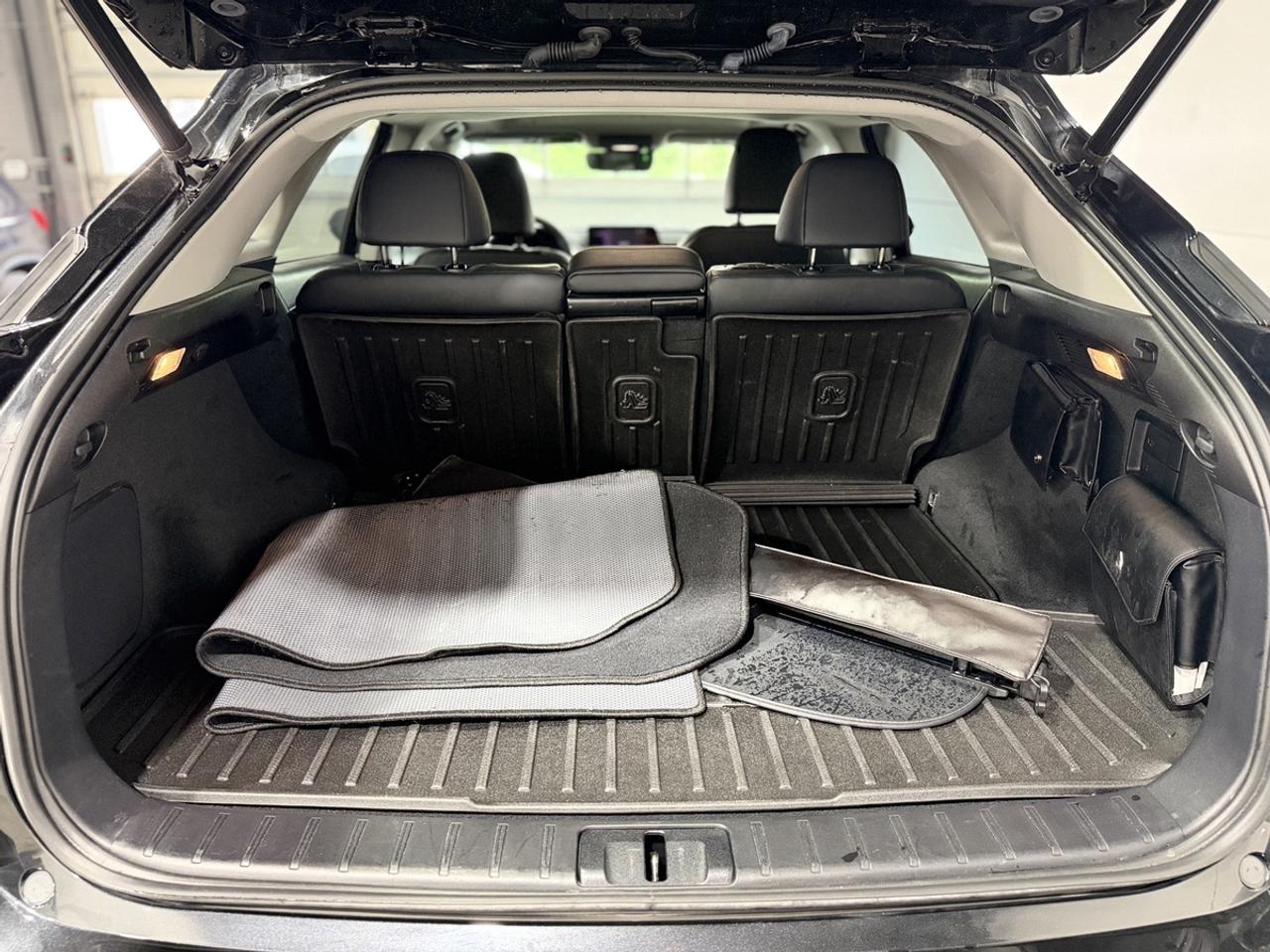 2019 Lexus RX 350 PREMIUM Photo
