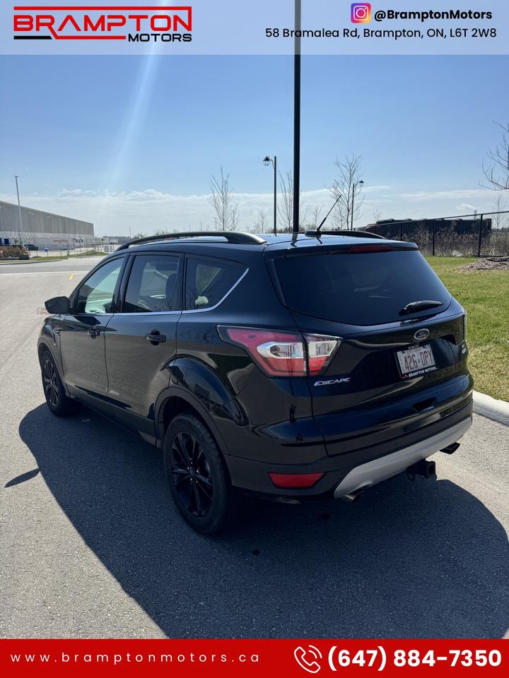 2017 Ford Escape Special Edition Photo