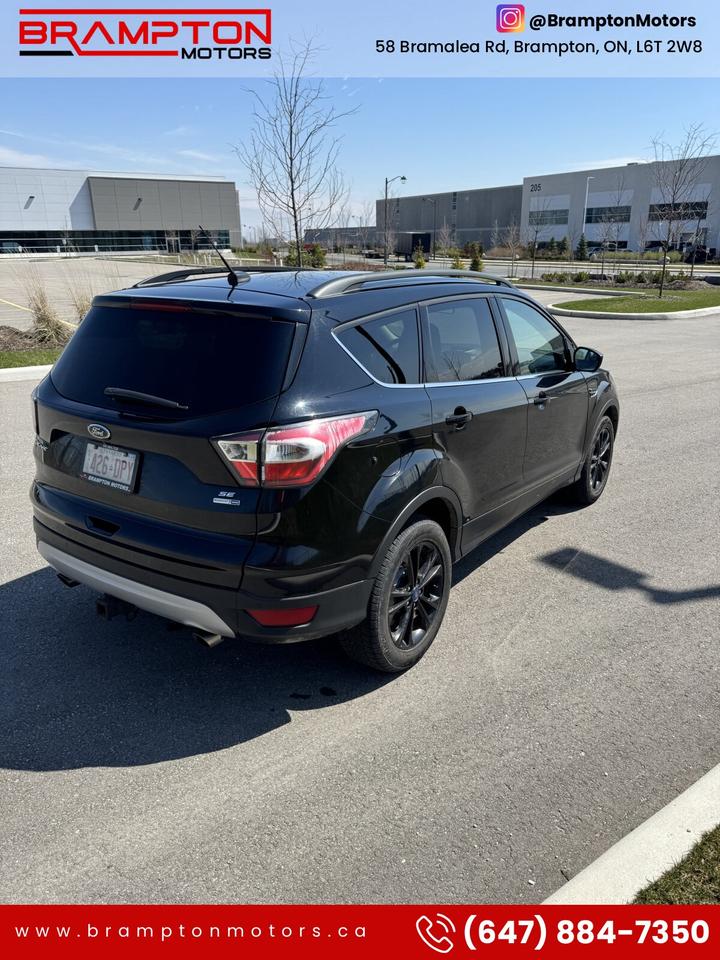 2017 Ford Escape Special Edition Photo