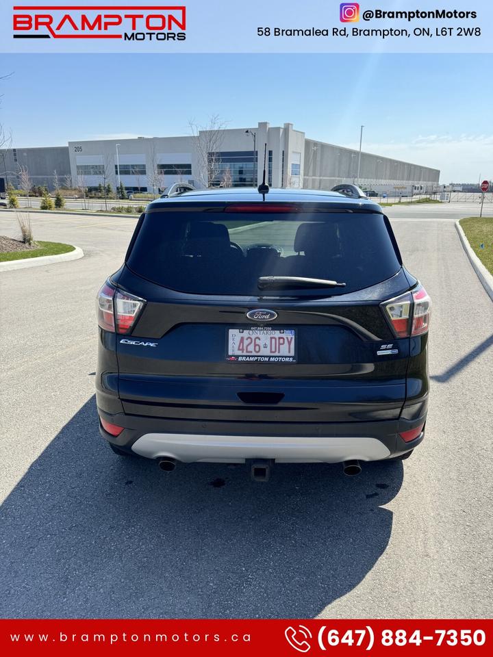 2017 Ford Escape Special Edition Photo