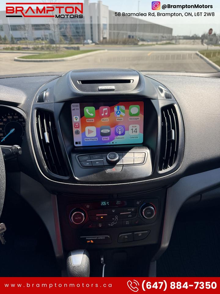 2017 Ford Escape Special Edition Photo