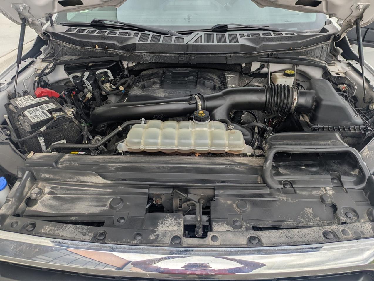 2021 Ford F-150 XLT/V6Turbo/4X4/SuperCrew/6.5ftbed﻿ Photo