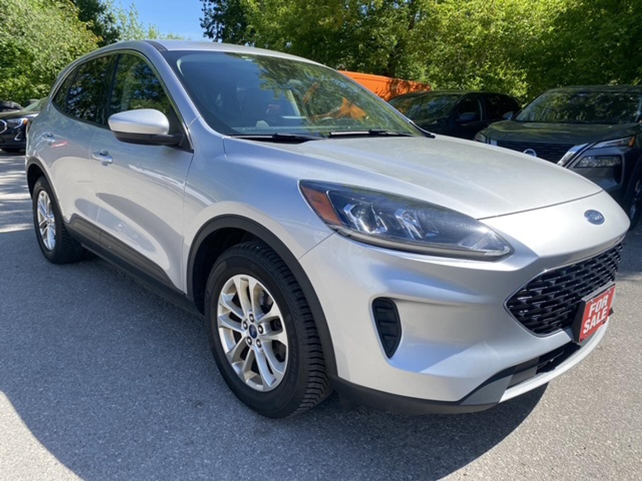2020 Ford Escape SE FWD Photo