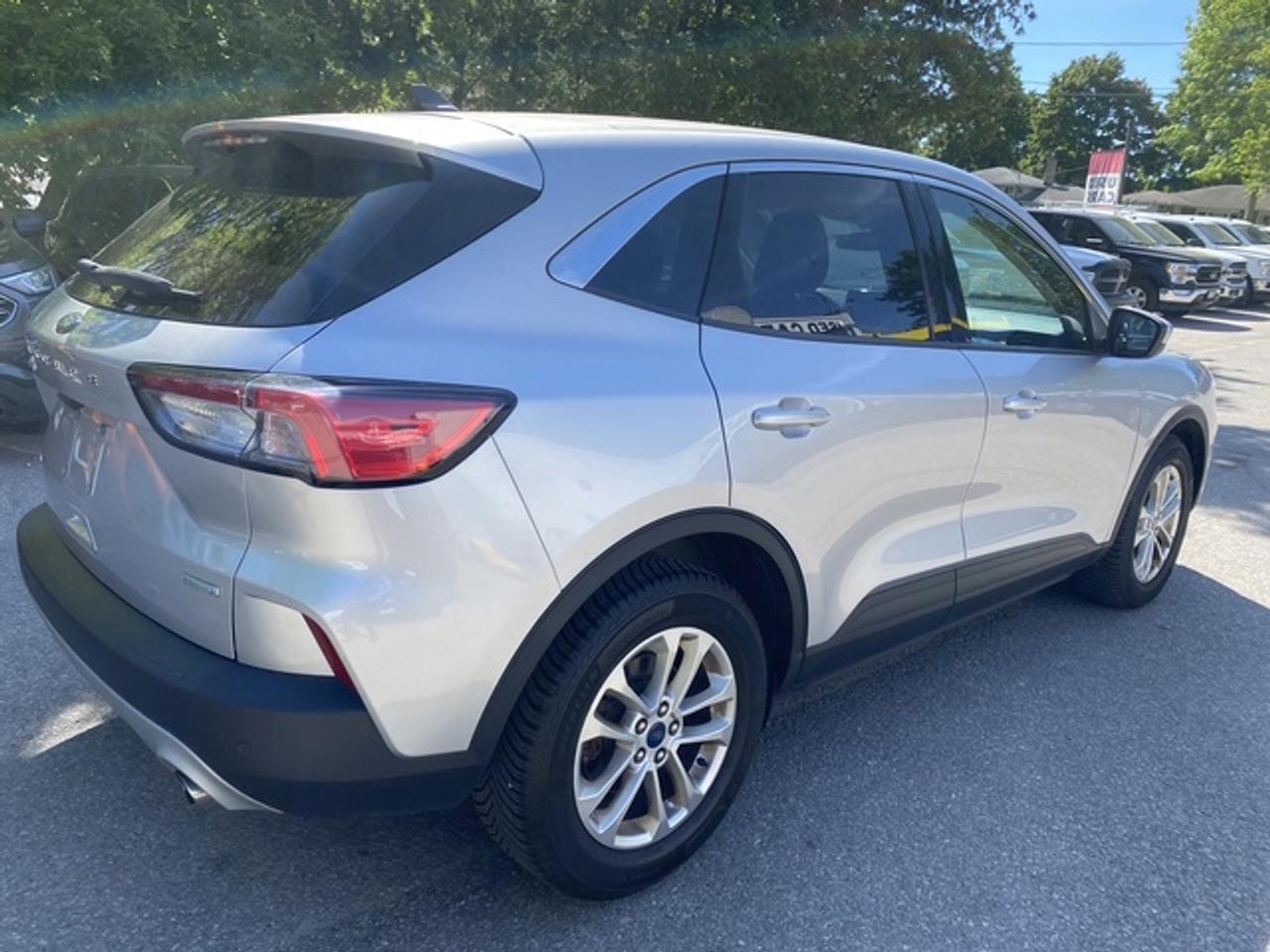 2020 Ford Escape SE FWD Photo