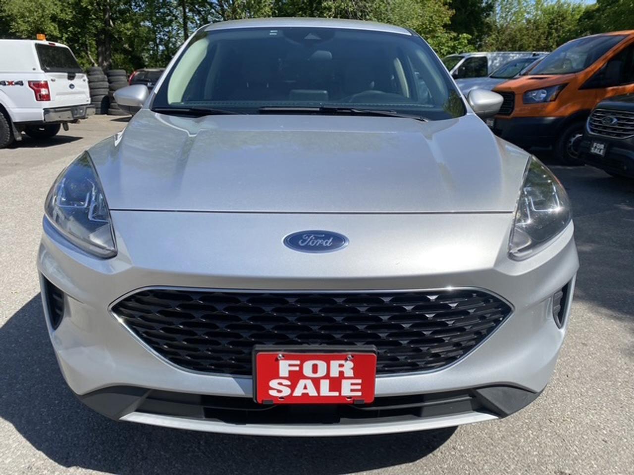 2020 Ford Escape SE FWD Photo