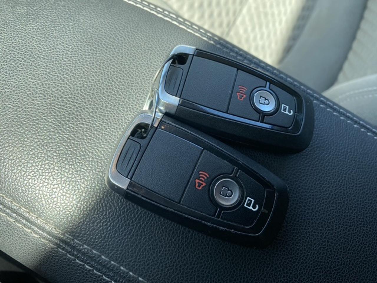2020 Ford Escape SE FWD Photo