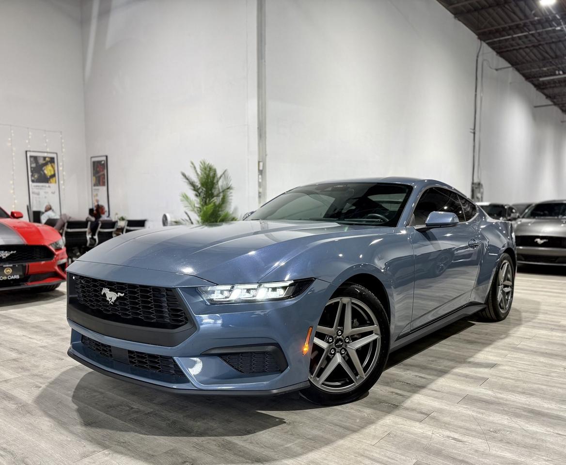 2024 Ford Mustang EB Fastback|One Owner|Clean Carfax|Ford Serviced Photo