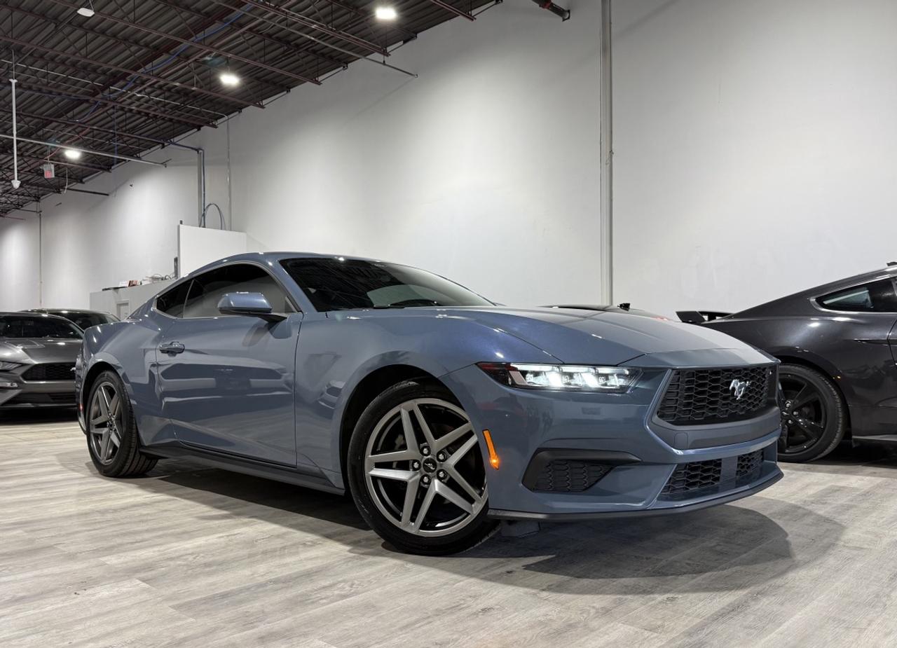 2024 Ford Mustang EB Fastback|One Owner|Clean Carfax|Ford Serviced Photo4