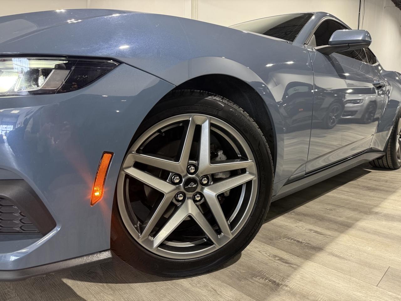 2024 Ford Mustang EB Fastback|One Owner|Clean Carfax|Ford Serviced Photo