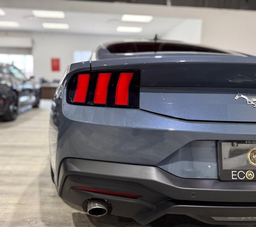 2024 Ford Mustang EB Fastback|One Owner|Clean Carfax|Ford Serviced Photo