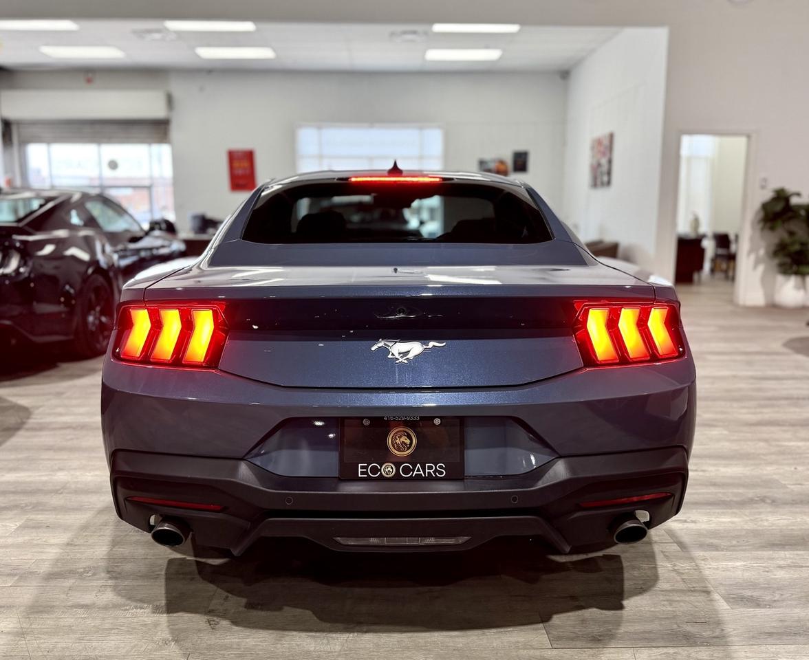 2024 Ford Mustang EB Fastback|One Owner|Clean Carfax|Ford Serviced Photo
