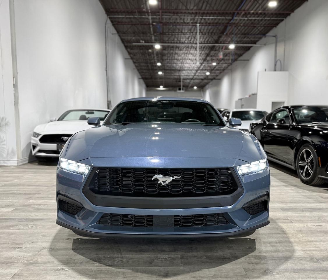 2024 Ford Mustang EB Fastback|One Owner|Clean Carfax|Ford Serviced Photo