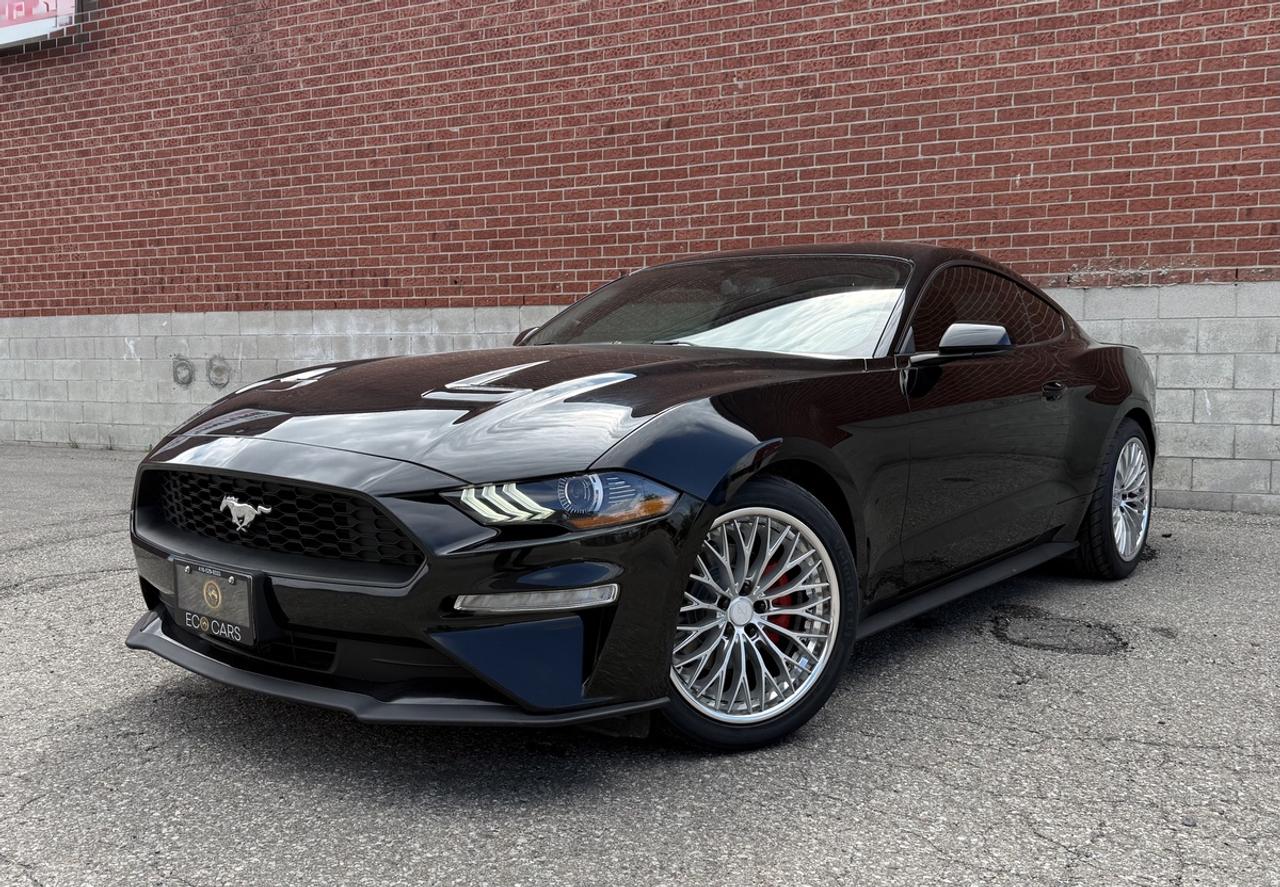 2019 Ford Mustang EB Fastback|Upgrade Wheels & Tires|Clean Carfax Photo