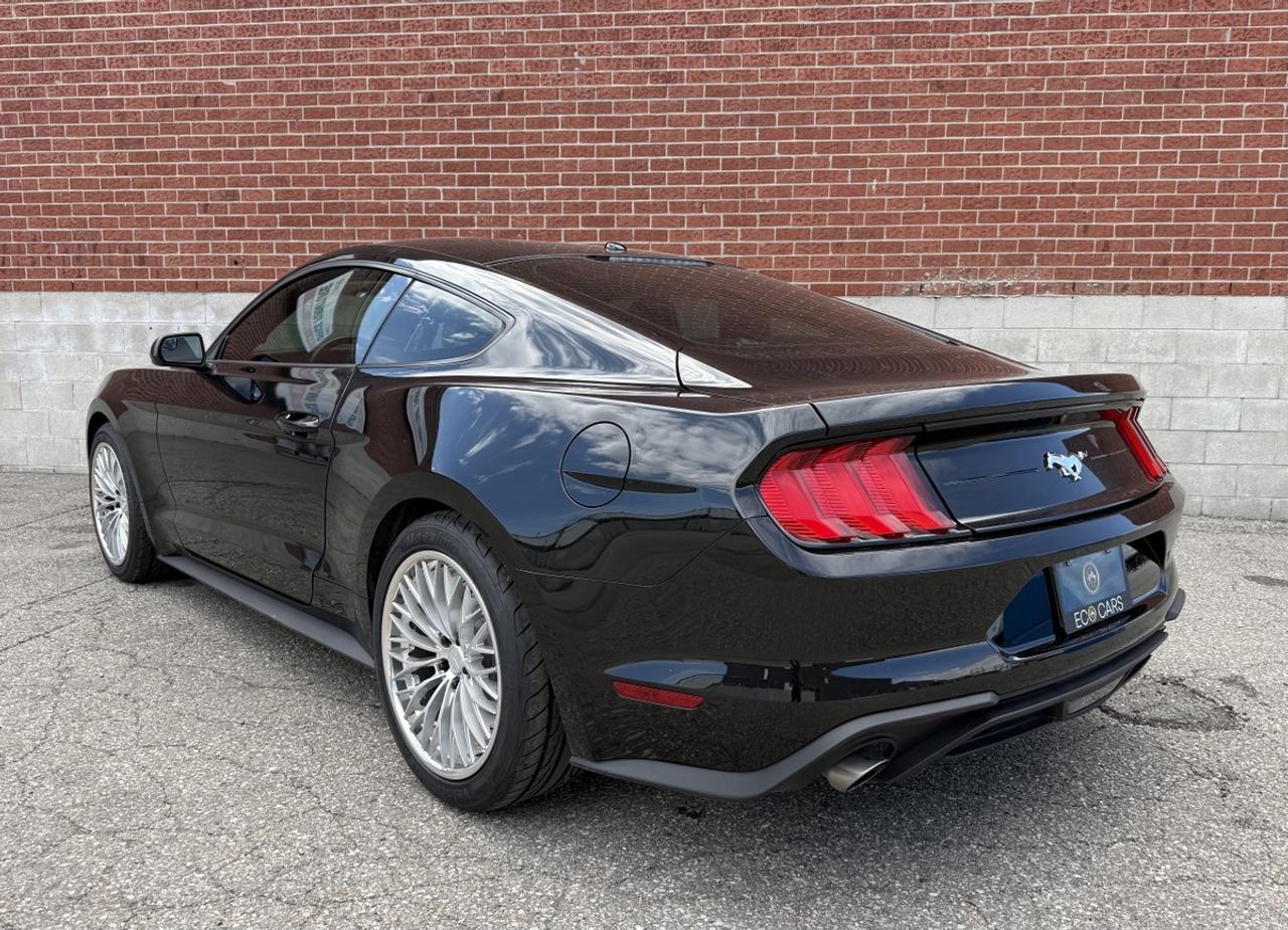 2019 Ford Mustang EB Fastback|Upgrade Wheels & Tires|Clean Carfax Photo
