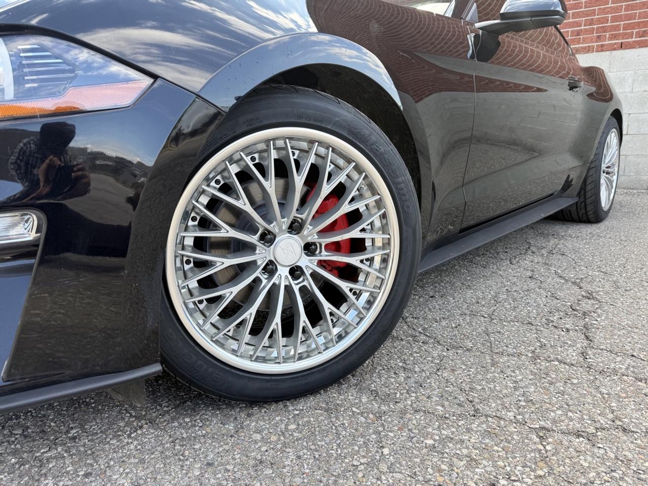2019 Ford Mustang EB Fastback|Upgrade Wheels & Tires|Clean Carfax Photo
