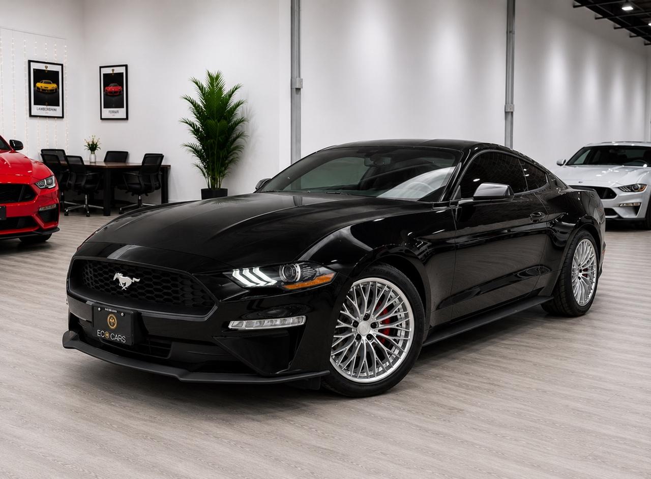 2019 Ford Mustang EB Fastback|Upgrade Wheels & Tires|Clean Carfax Photo0