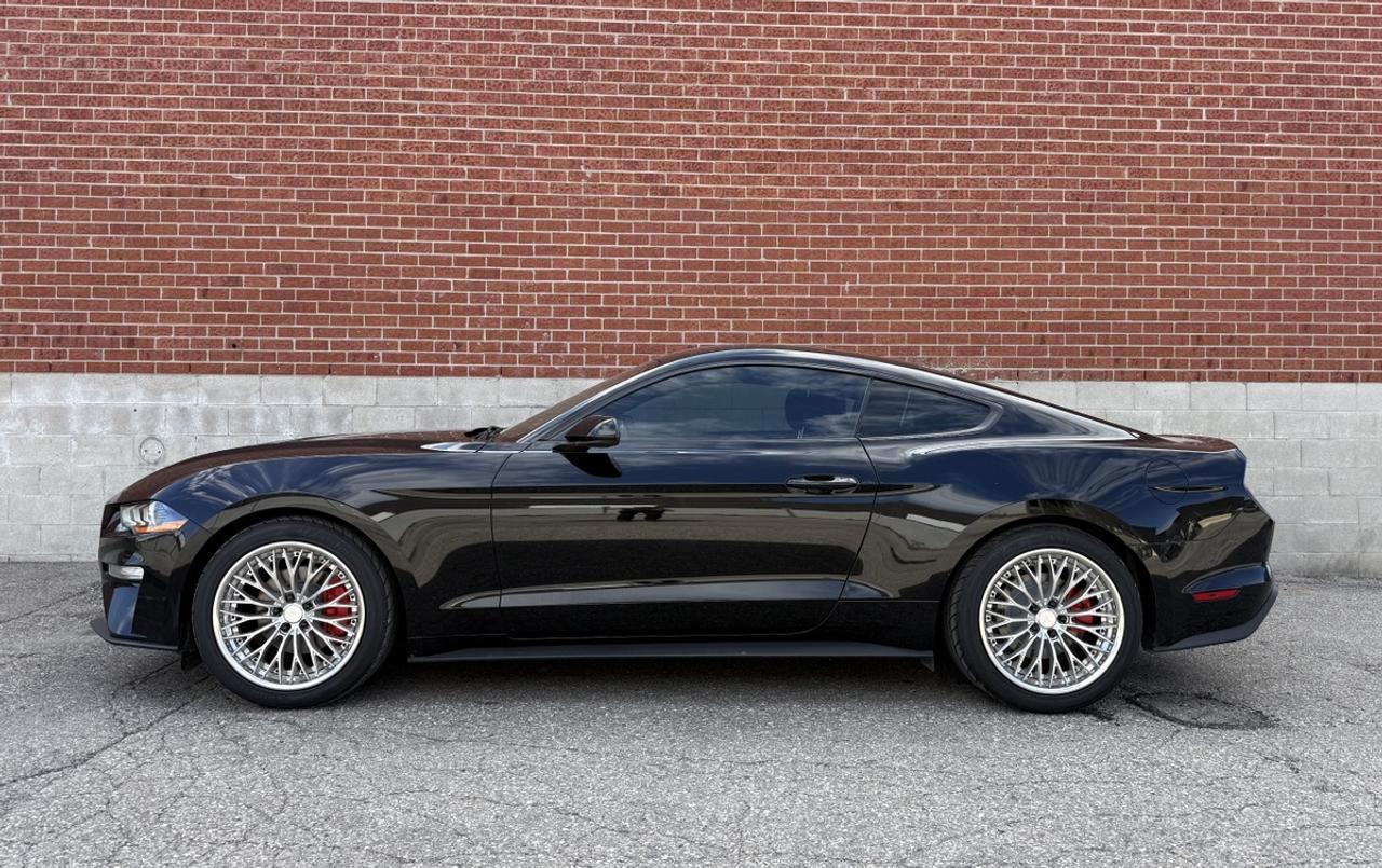 2019 Ford Mustang EB Fastback|Upgrade Wheels & Tires|Clean Carfax Photo