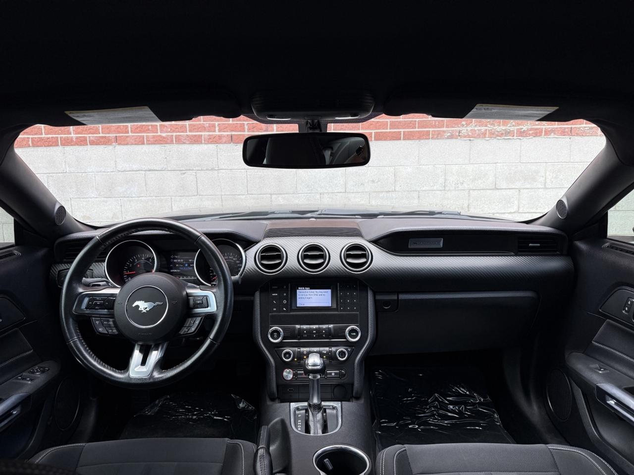 2019 Ford Mustang EB Fastback|Upgrade Wheels & Tires|Clean Carfax Photo