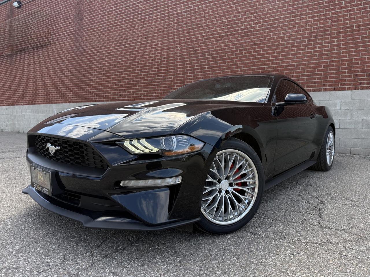 2019 Ford Mustang EB Fastback|Upgrade Wheels & Tires|Clean Carfax Photo