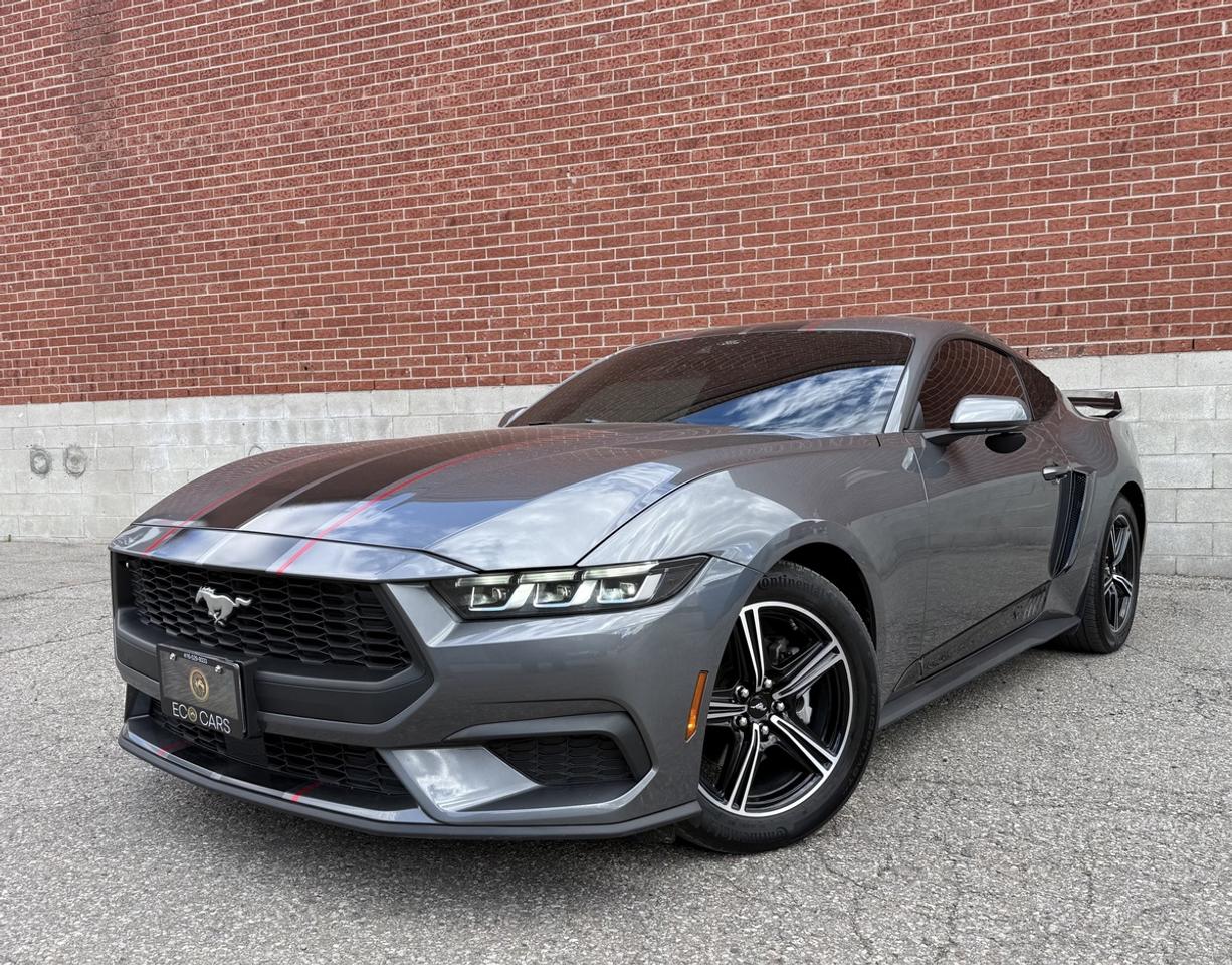 2024 Ford Mustang EB Fastback|One Owner|High Pkg|Upgraded Photo