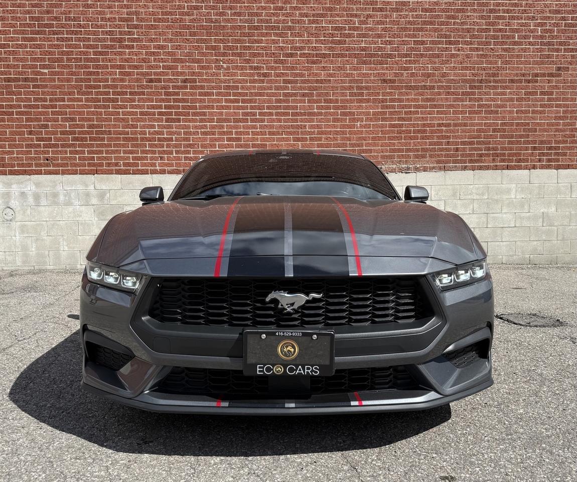 2024 Ford Mustang EB Fastback|One Owner|High Pkg|Upgraded Photo3