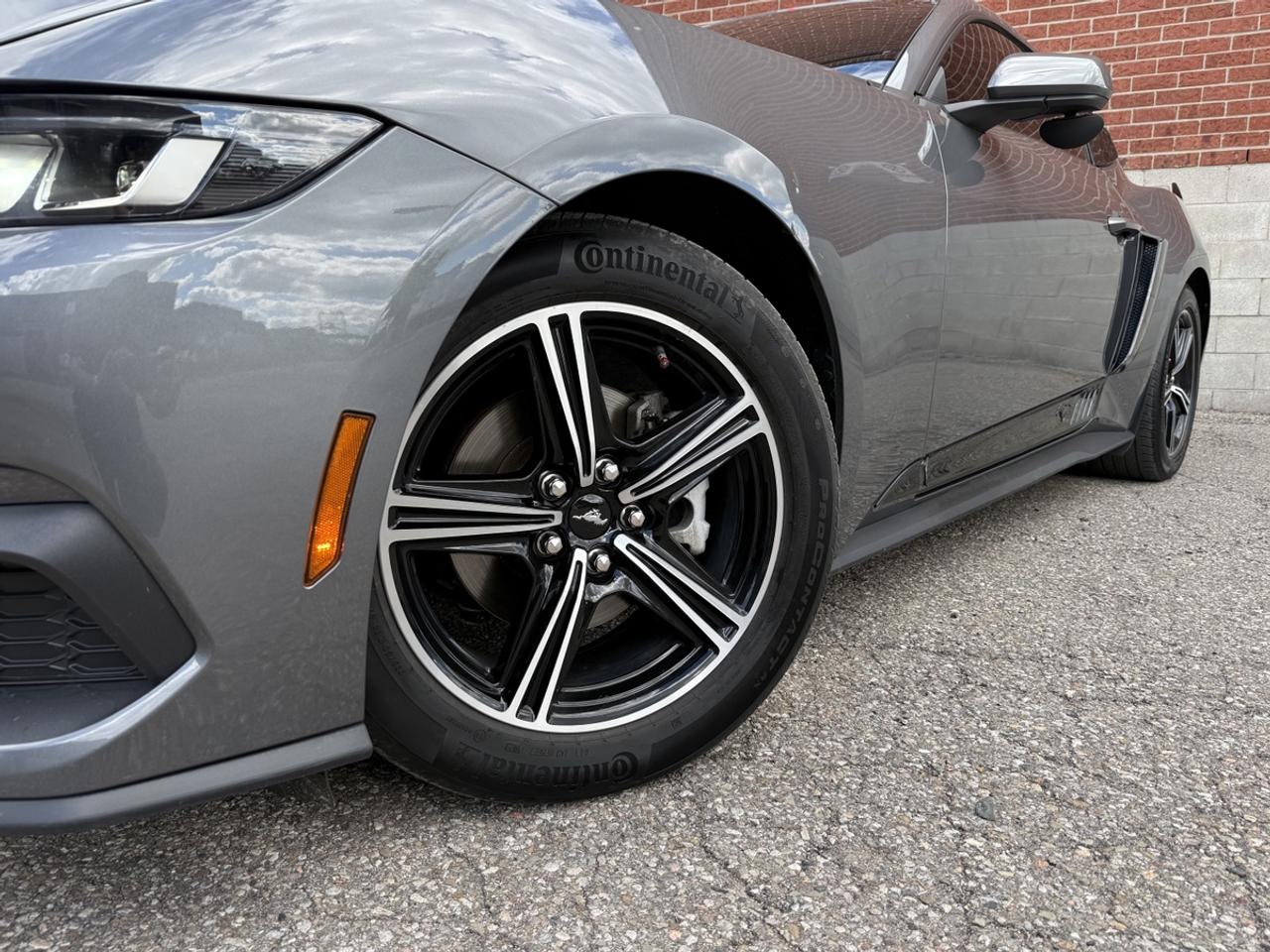 2024 Ford Mustang EB Fastback|One Owner|High Pkg|Upgraded Photo