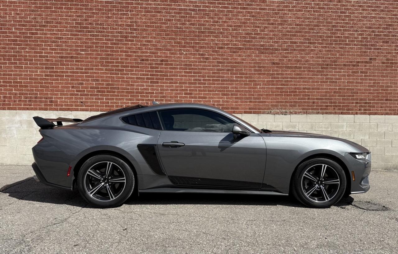 2024 Ford Mustang EB Fastback|One Owner|High Pkg|Upgraded Photo