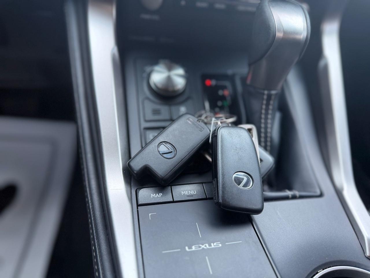 2018 Lexus NX 300 e Photo