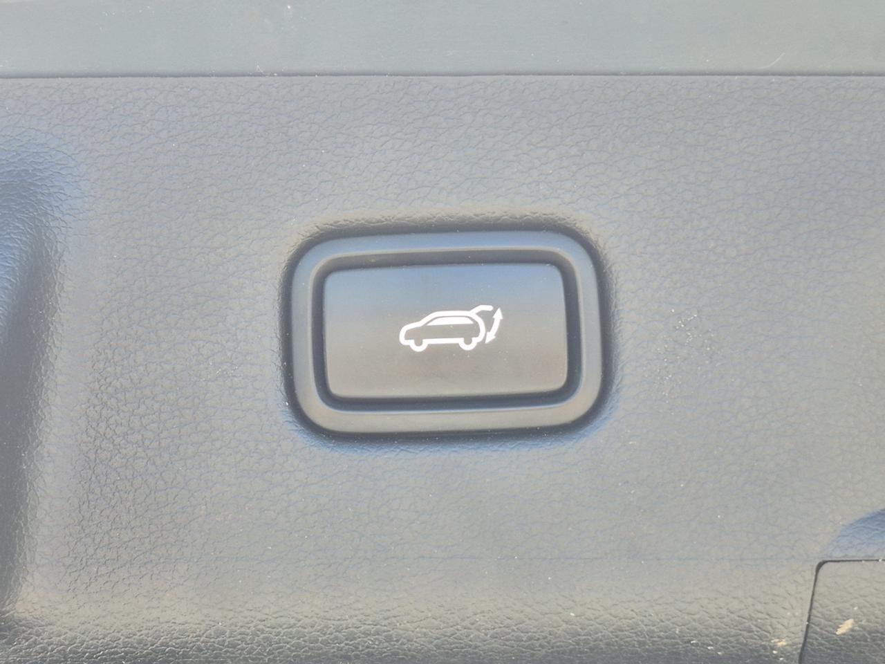 2020 Hyundai PALISADE LIMITED Photo