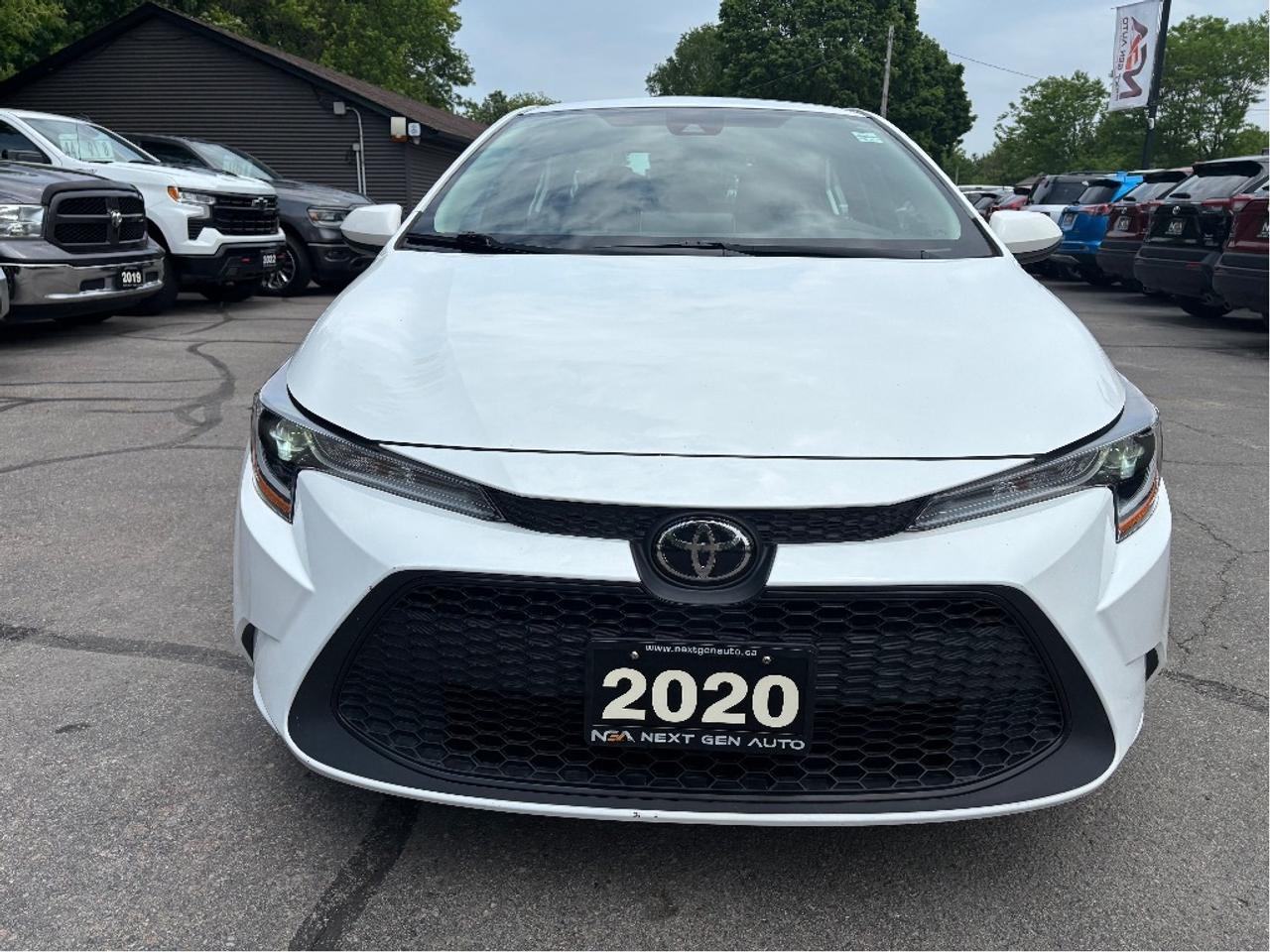 2020 Toyota Corolla LE Photo