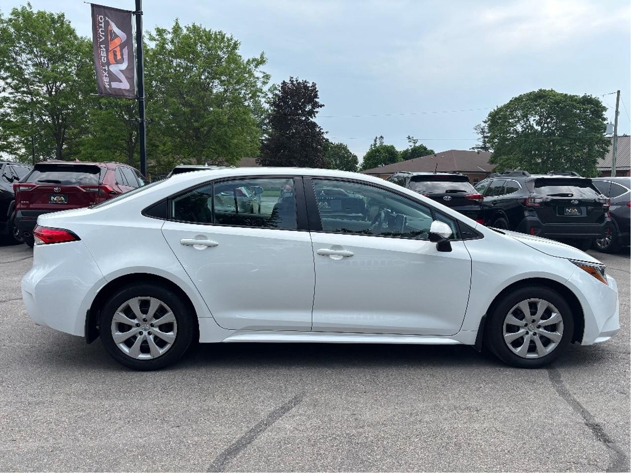 2020 Toyota Corolla LE Photo