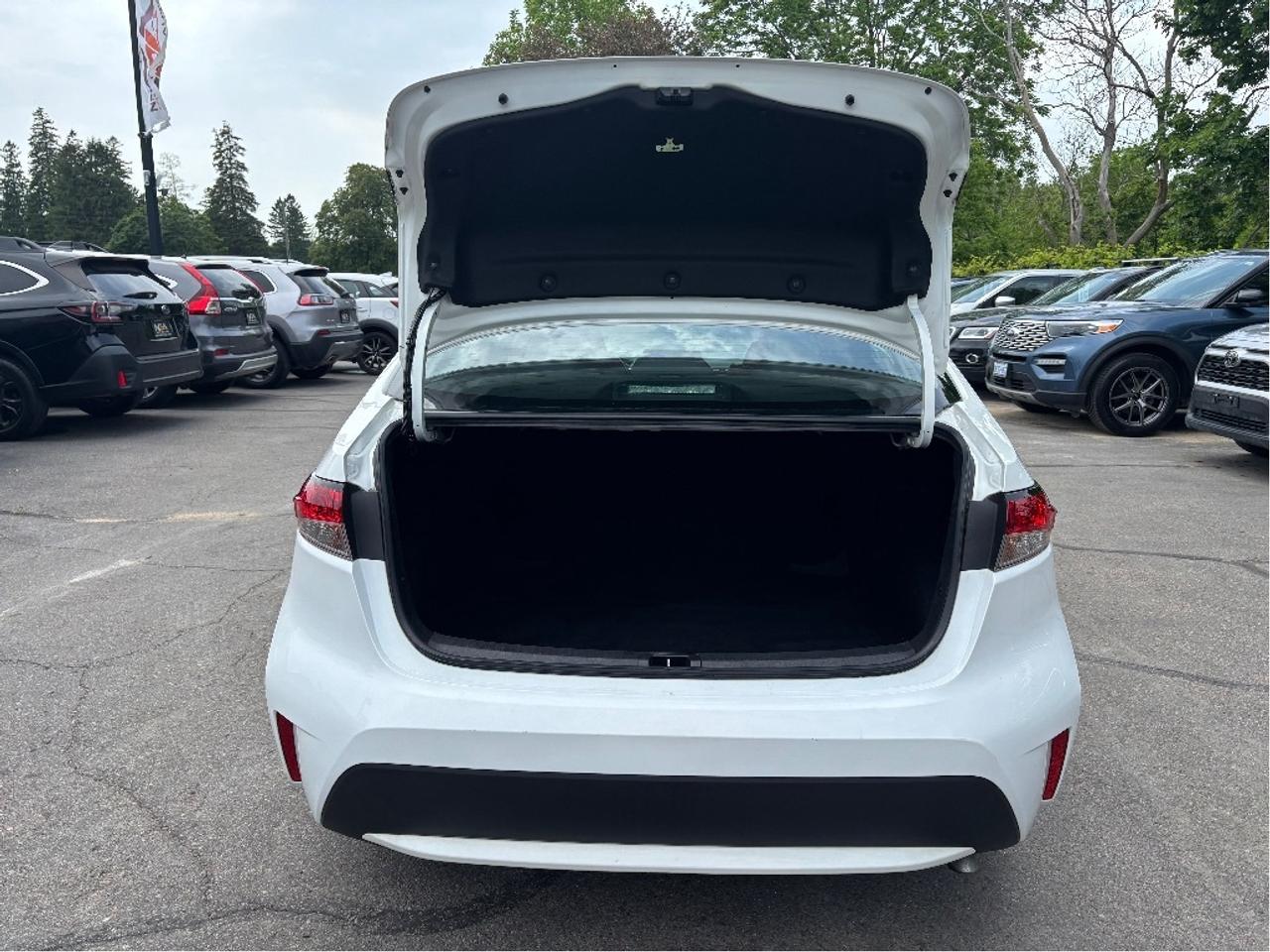 2020 Toyota Corolla LE Photo