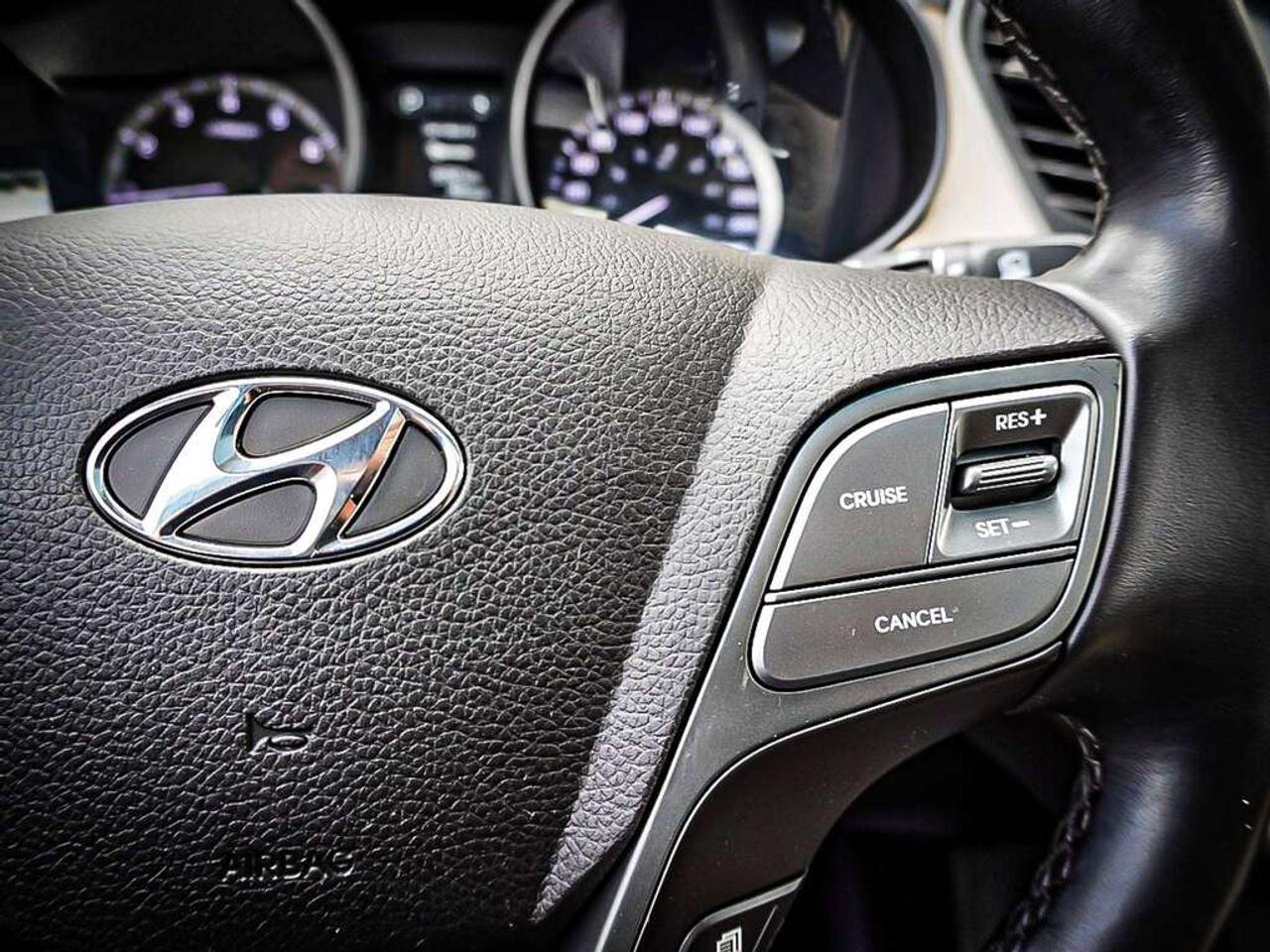 2017 Hyundai Santa Fe  Photo