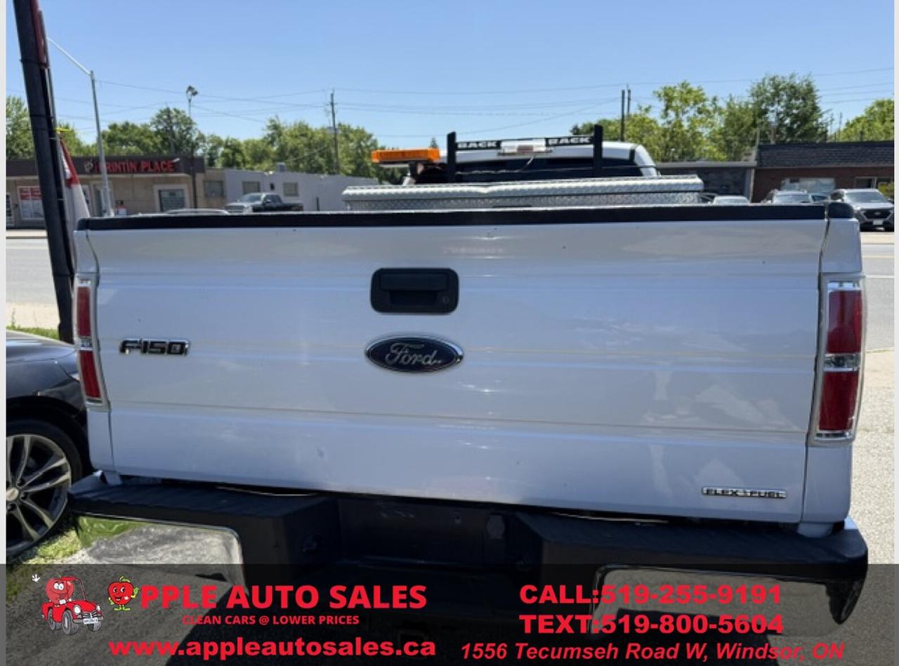 2013 Ford F-150 XL Photo4