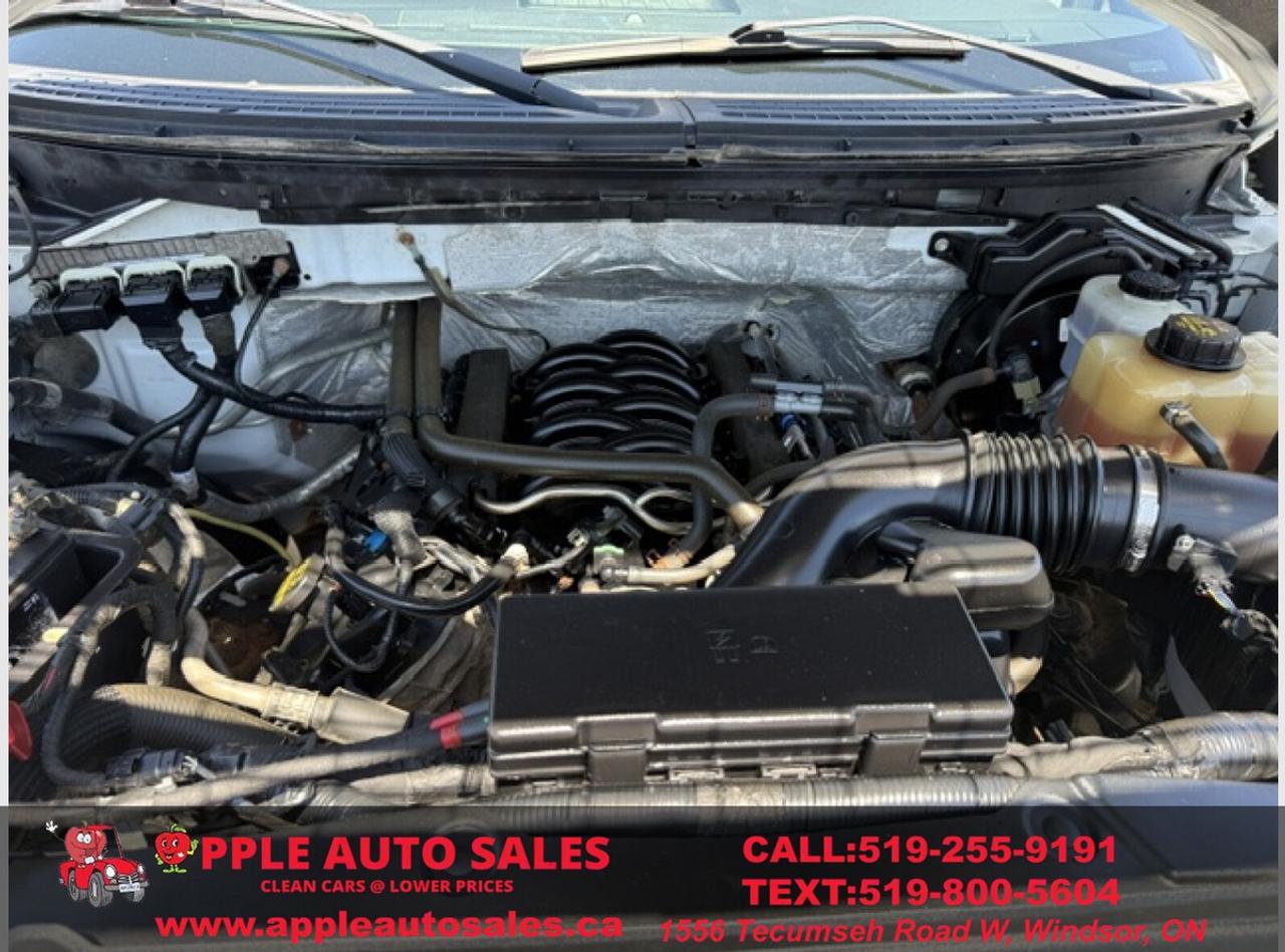 2013 Ford F-150 XL Photo