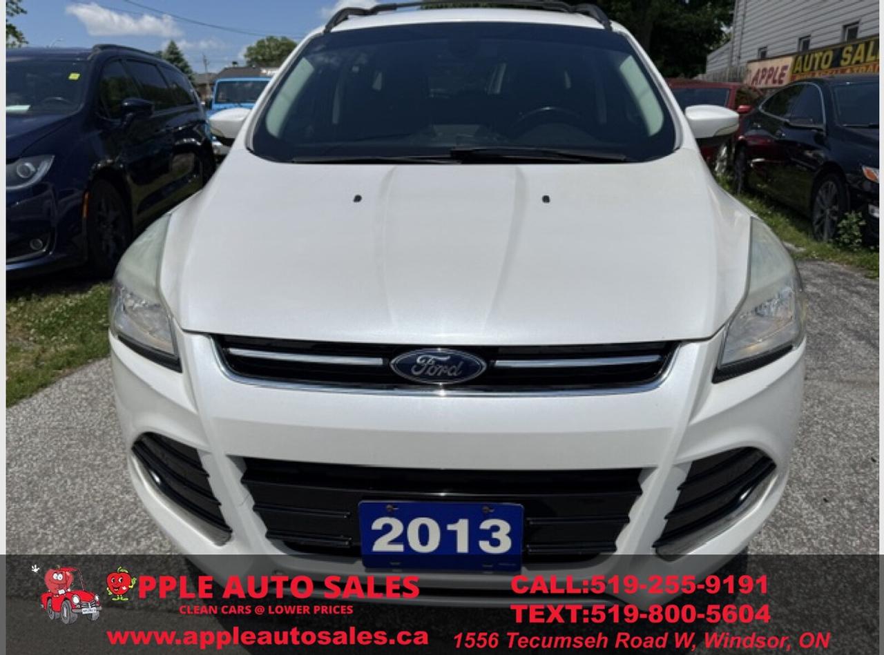 2013 Ford Escape SEL Photo