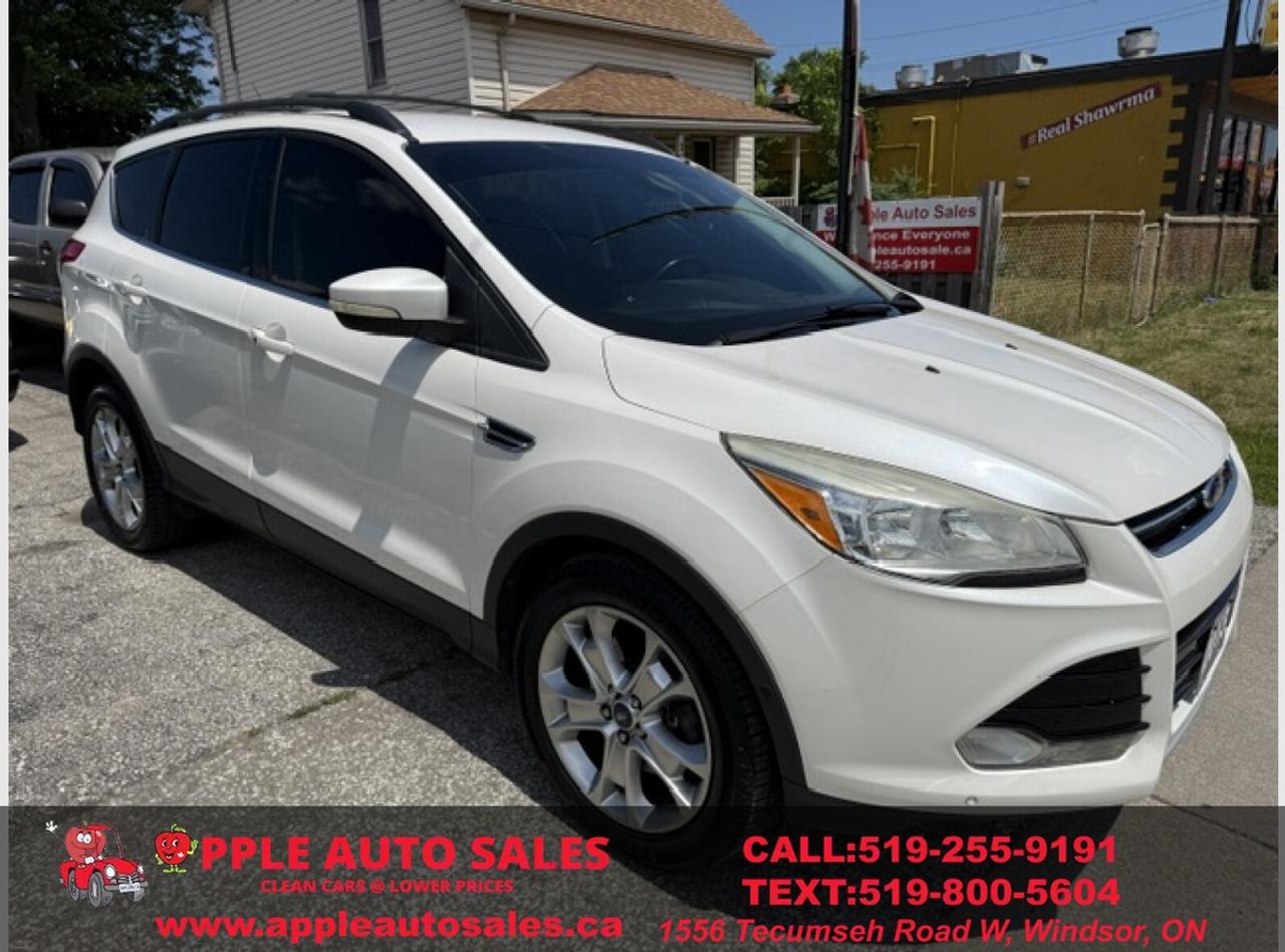 2013 Ford Escape SEL Photo2