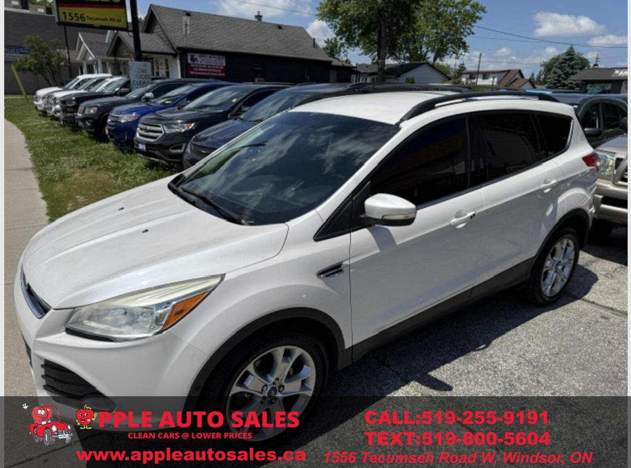 2013 Ford Escape SEL Photo4