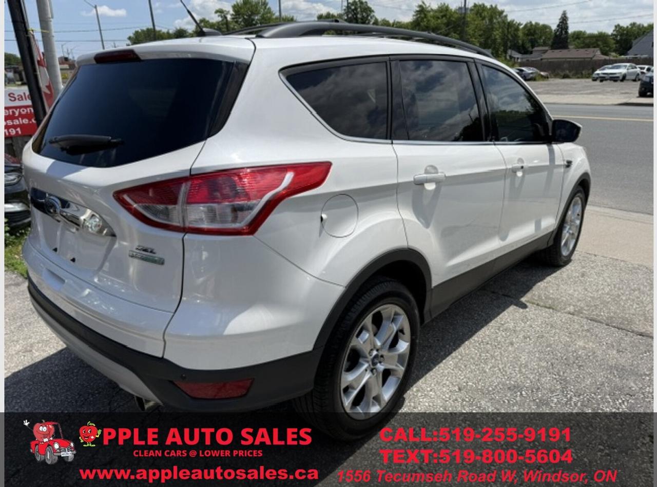2013 Ford Escape SEL Photo