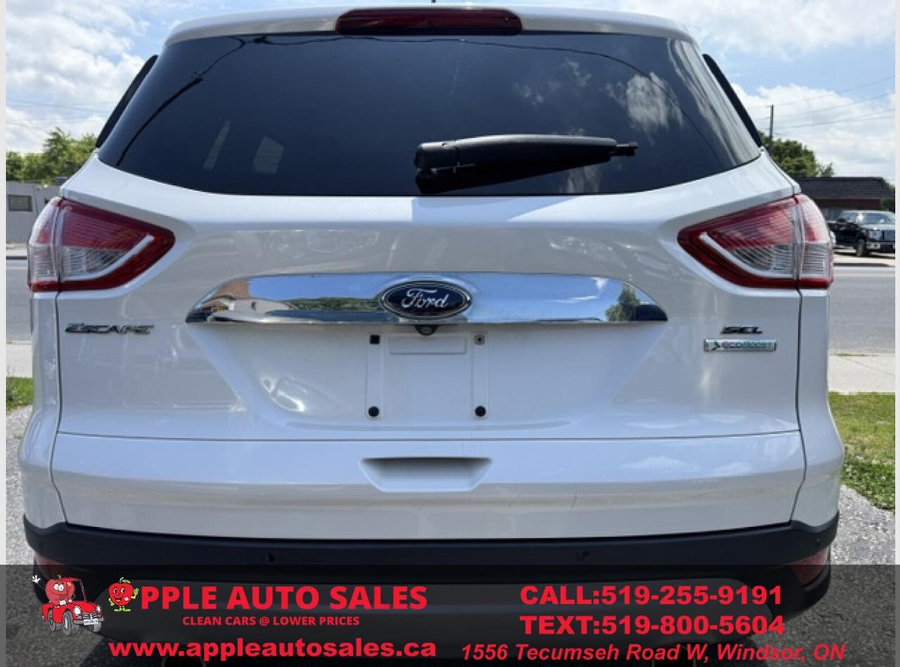2013 Ford Escape SEL Photo