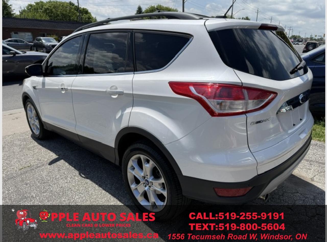 2013 Ford Escape SEL Photo