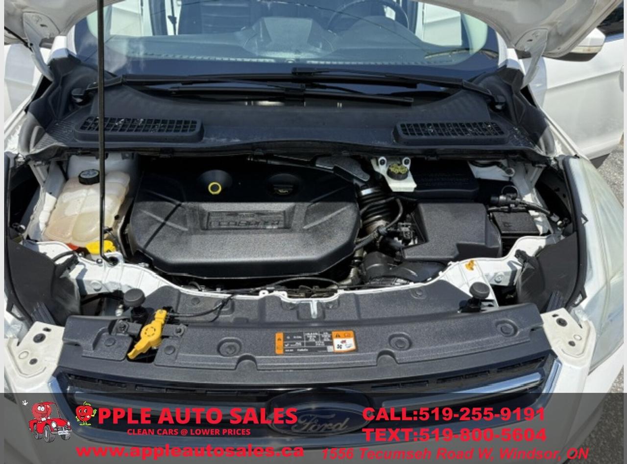 2013 Ford Escape SEL Photo