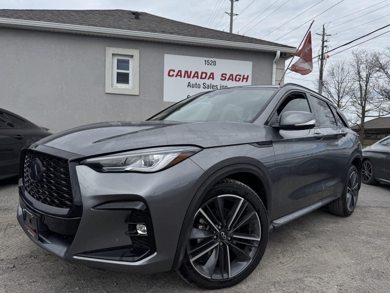 2025 Infiniti QX50 sport Photo