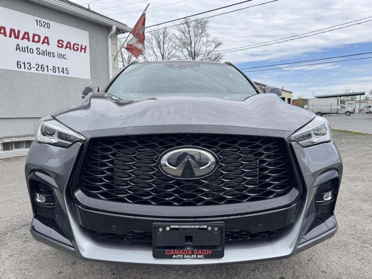 2025 Infiniti QX50 sport Photo