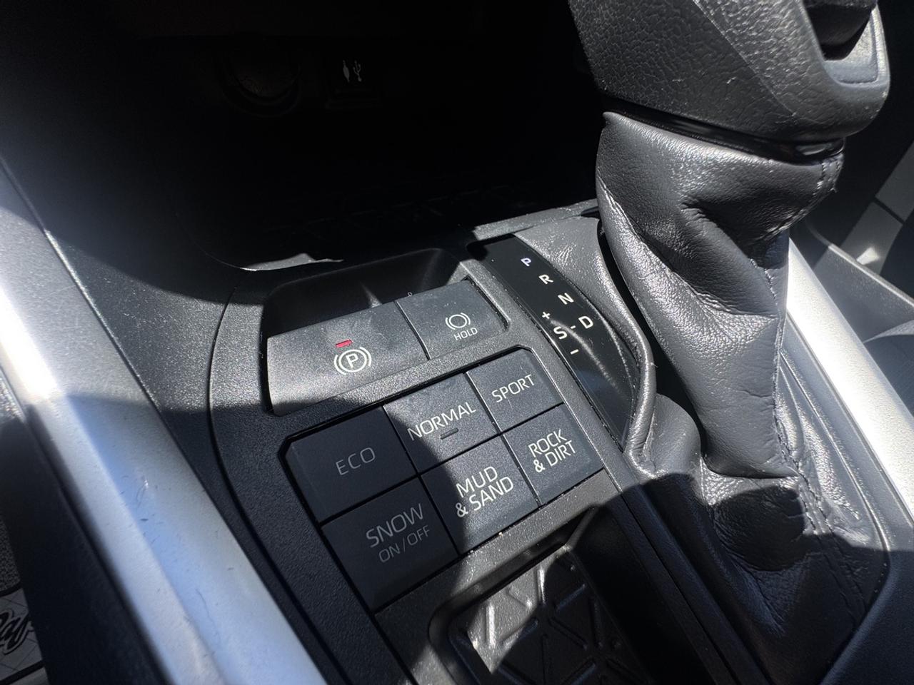 2019 Toyota RAV4 LE Photo