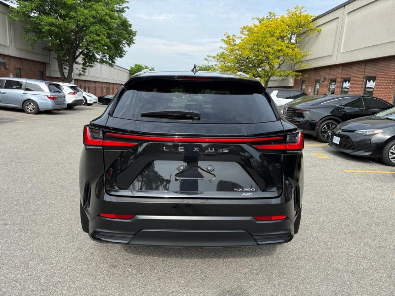 2025 Lexus NX NX 250 AWD Photo