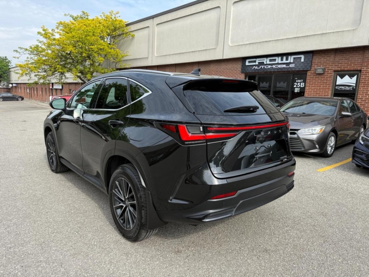2025 Lexus NX NX 250 AWD Photo