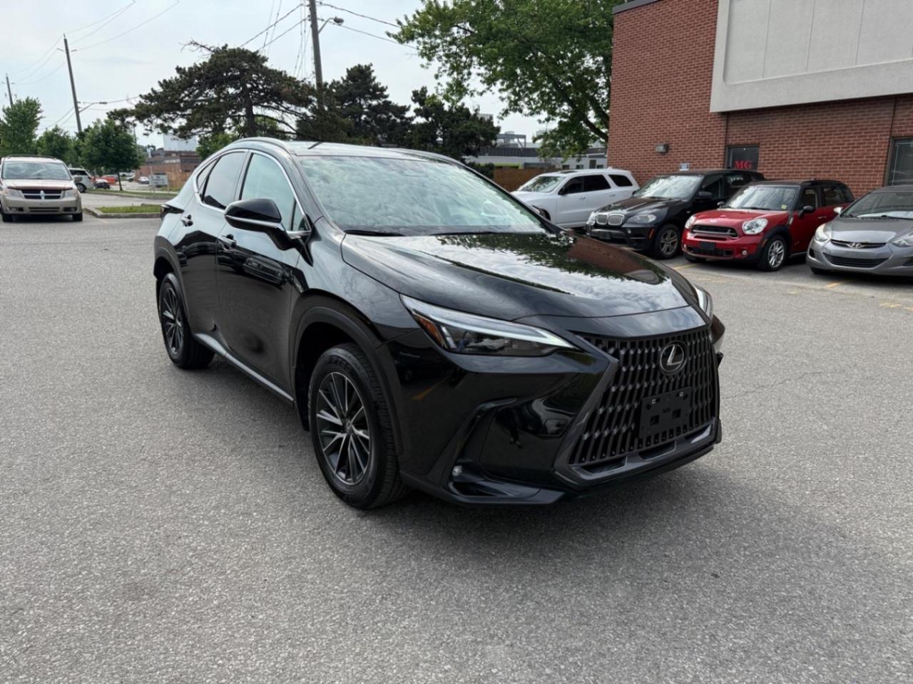 2025 Lexus NX NX 250 AWD Photo