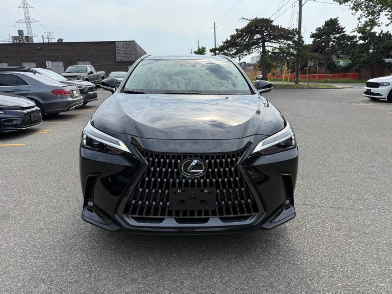 2025 Lexus NX NX 250 AWD Photo