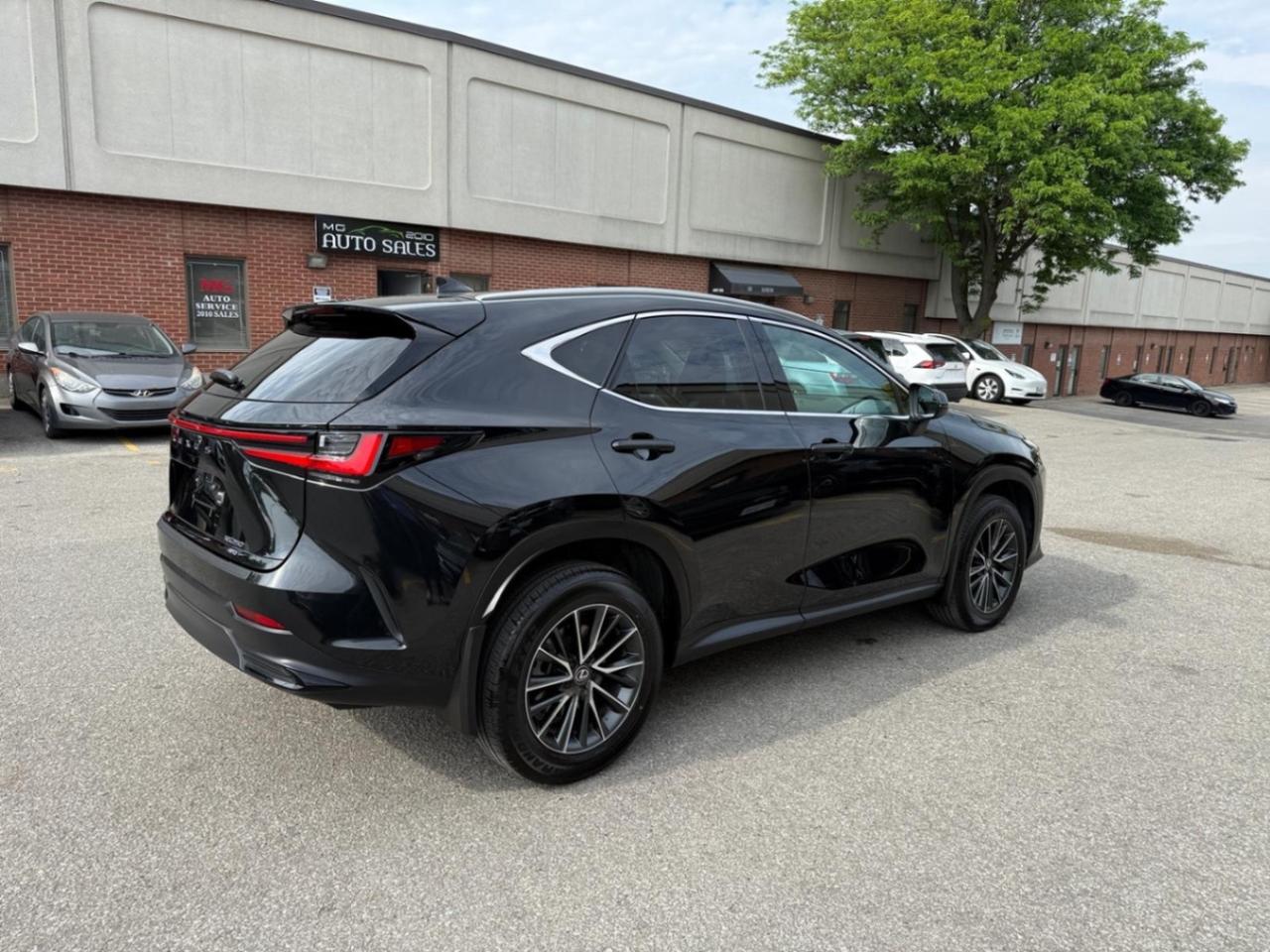2025 Lexus NX NX 250 AWD Photo